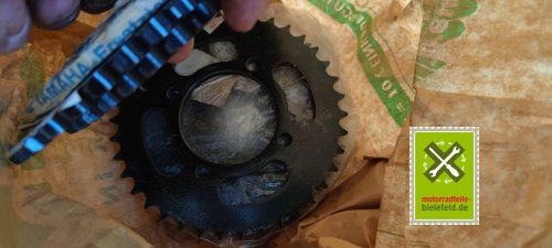 IMG_20230826_194245